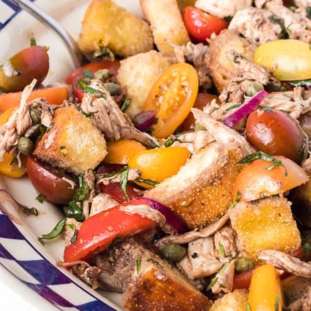 A bread salad with chicken.