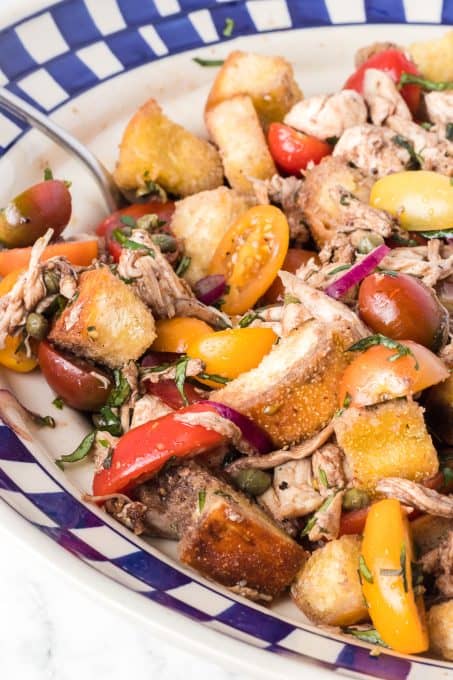 A bread salad with chicken.