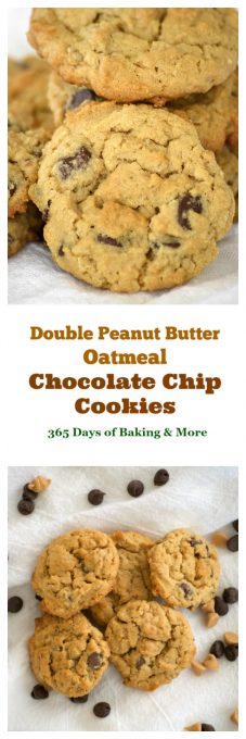 Double Peanut Butter Oatmeal Chocolate Chip Cookies-365 Days of Baking