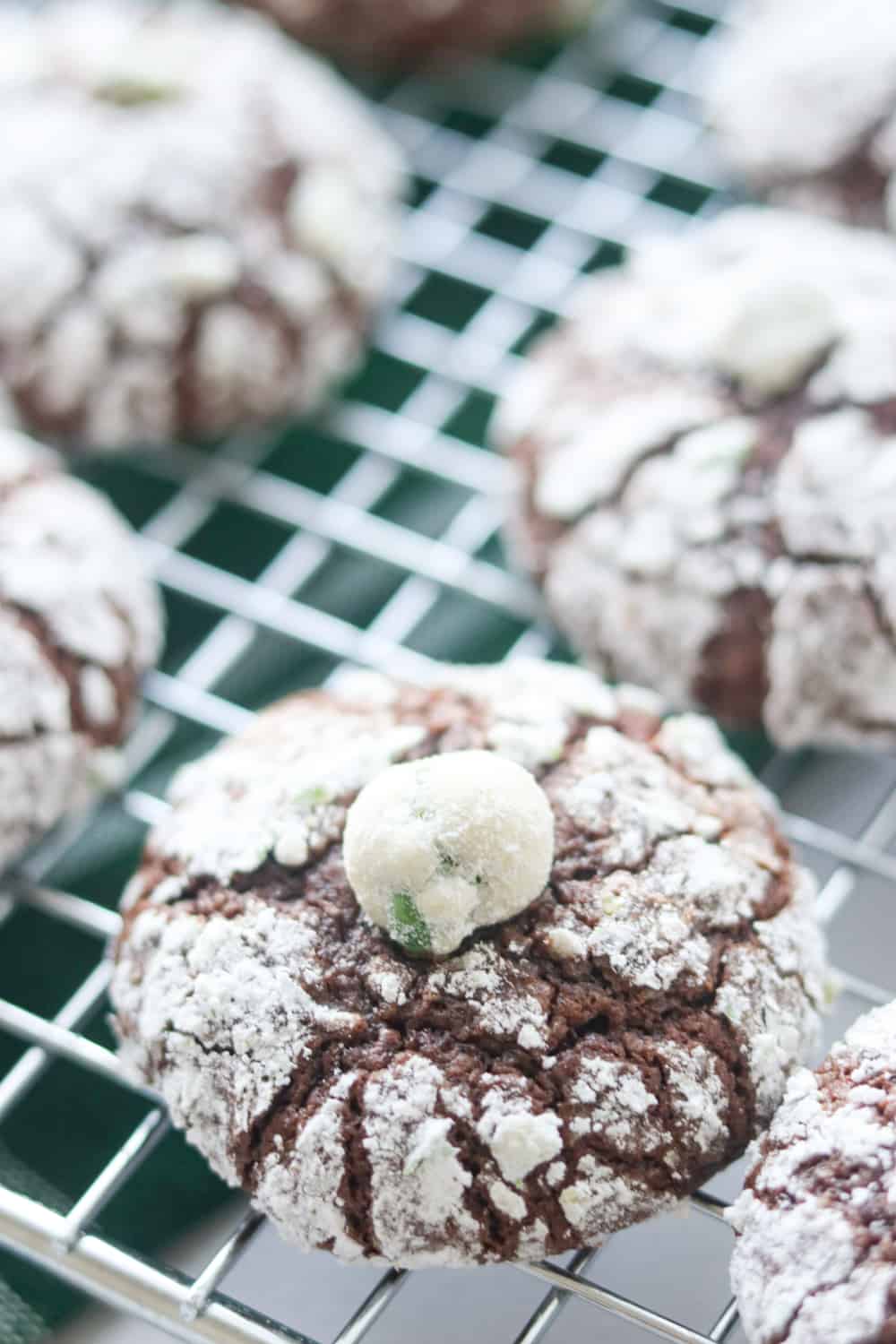 Wasabi Chocolate Crinkles | 365 Days of Baking and More