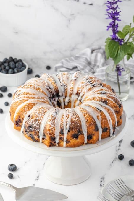 Blueberry Sour Cream Coffee Cake | 365 Days of Baking and More