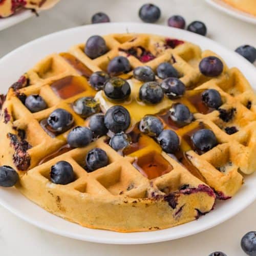 Easy Homemade Blueberry Waffles | 365 Days of Baking and More