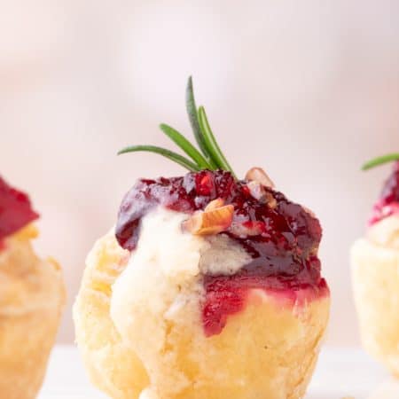 Cranberry Bire BItes