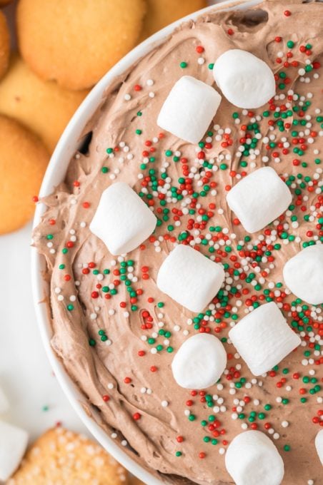 A chocolate dessert dip.