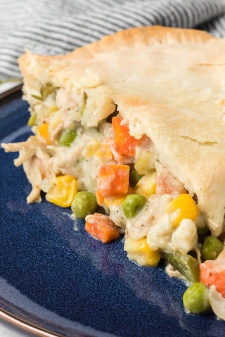 Vegetables and turkey in pie crust.