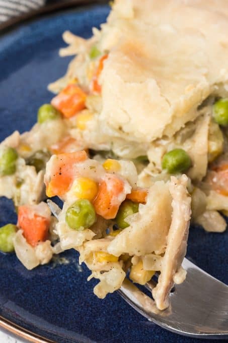 A pot pit filled with vegetables and turkey.