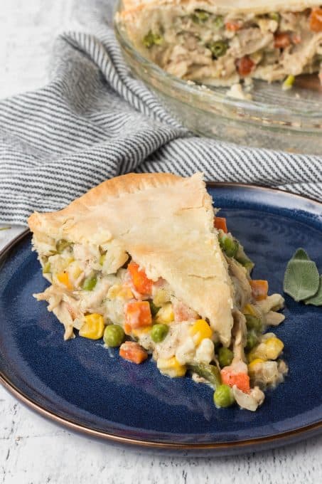 A pot pie made of turkey and mixed vegetables.