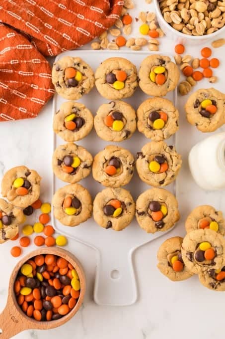 Peanut Butter cookies with chocolate chips and Reese's Pieces.