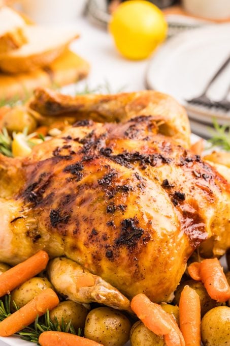 Chicken One-pot Dutch Oven dinner.